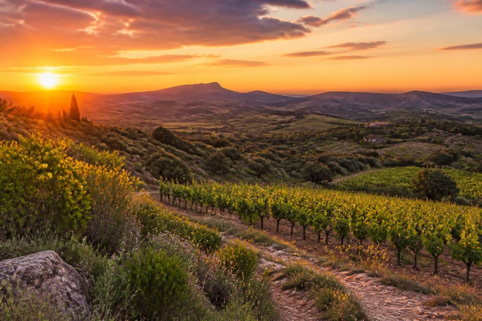 explorez le languedoc à travers un voyage authentique, entre saveurs locales et traditions ancestrales, pour une expérience culturelle et gourmande unique.